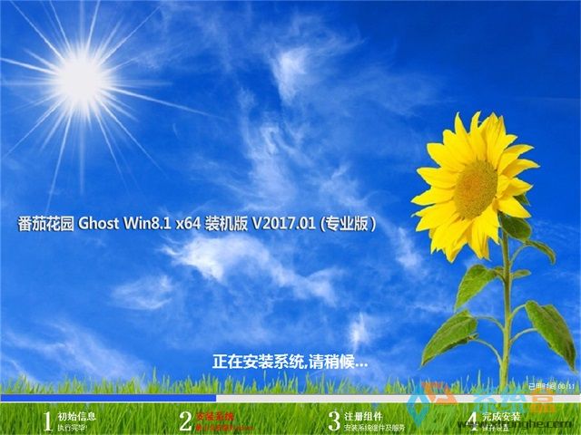 ѻ԰Ghost Win8.1 (X64)רҵװ_ISOV2017.01